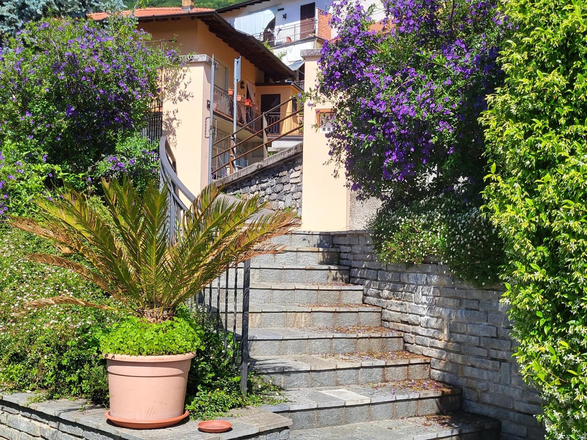 Casa Intignano - Appartamento Con Terrazzo Vista Lago Тремеццо Экстерьер фото